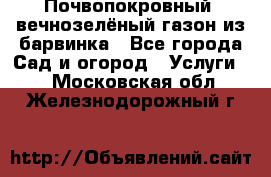 Почвопокровный, вечнозелёный газон из барвинка - Все города Сад и огород » Услуги   . Московская обл.,Железнодорожный г.